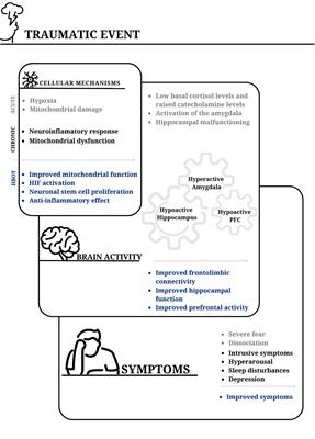 The use of hyperbaric oxygen for veterans with PTSD: basic physiology and current available clinical data